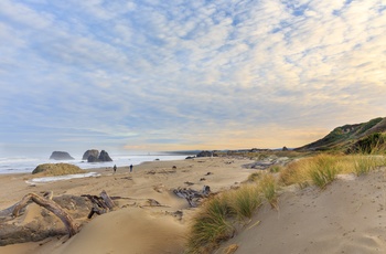Oregon Dunes sandklitter langs Stillehavskysten i det vestlige USA