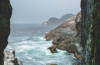 Kysten tæt på Sea Lion Caves i Oregon, USA