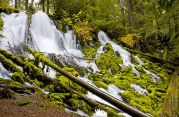 Clearwater Falls i Umpqua National Forest, Oregon i USA