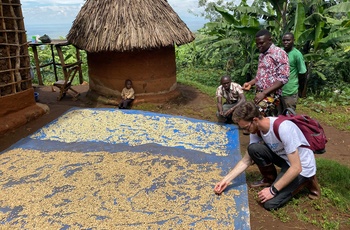 På kaffetur i Uganda - Foto: Joel Friedrich, Unsplash