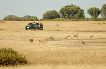 På safari i Queen Elizabeth National Park - Uganda