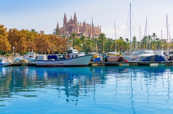 Lystbådehavn i Palma de Mallorca med katedralen i baggrunden, Spanien
