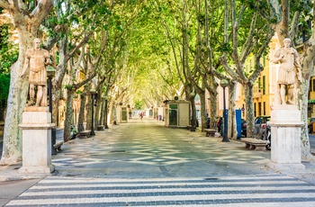 La Rambla - en bred boulevard i Palma de Mallorca, Spanien