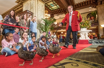 Peabody Hotel i Memphis - ducks march