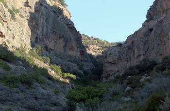 Pefki-kløften i den østlige del af Kreta