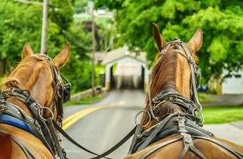 På tur i hestevogn med en fra Amish-folket, Pennsylvania i USA