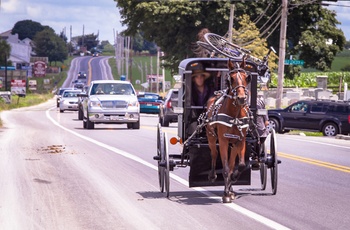 Amish med hestevogn nær Lancaster i Pennsylvania, USA