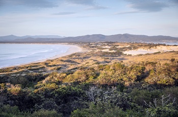 Peron Dunes nær St. Helens på Tasmanien
