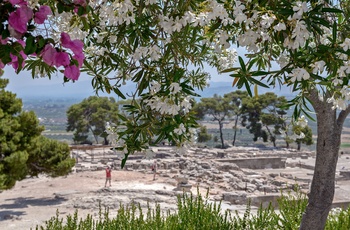 Ruinerne af Phaistos-paladset på Kreta - Grækenland
