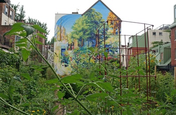 Murmaleri i en fælleshave i Philadelphia, USA