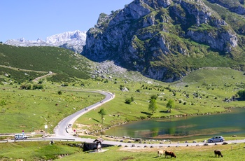 Vej gennem Picos de Europa Nationalpark i det nordlige Spanien