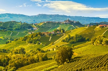Vinområdet Barbaresco i Piemonte, Norditalien