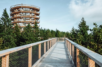 Pohorje Treetop Walk - Imponerende udsigtstårn og ganbro i trætoppene, Pohorje-bjergene i Slovenien