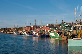 Fiskebåde i havnen i Port au Choix på Newfoundland - Canada