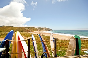 Surfbrædder ved Costa Vitentina i det sydlige Portugal