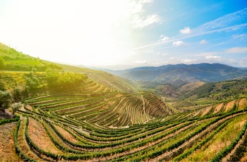 Douro-dalen i Portugal