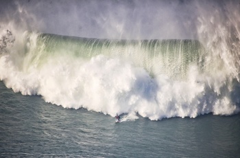 Surfer på monsterbølge ud for Nazare, Portugal
