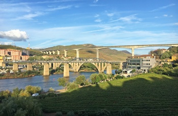 Broer over Douro-floden og byen Pinhos - det nordlige Portugal