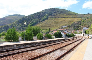 Pinhaos togstation med vinmarker - det nordlige Portugal