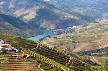 Vinmarkerne nær Pinhao med Douro-floden der skærer sig gennem dalen - det nordlige Portugal