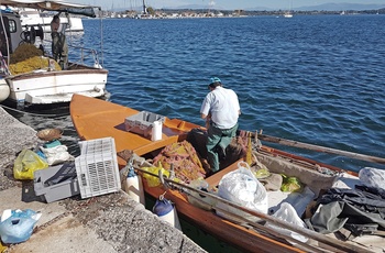 Lokale fiskere ved havnen i Preveza - Grækenland