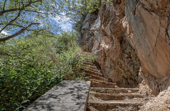 Sti på vej op til Prodromos klosteret på Peloponnes - Grækenland