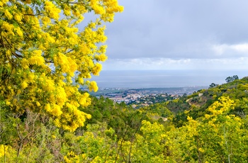 Udsigt til Mandelieu ved den franske Riviera, Provence