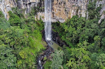 Purling Brook vandfaldet i Springbrook National Park – Queensland i Australien