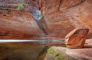 Ells Creek i Bungle Bungles i Purnululu National Park