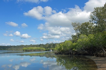 Baffel Creek langs Capricorn Coast - Queensland