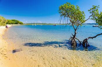 Lækker strand i kystbyen 1770, Queensland