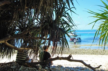 Afslapning på Lady Musgrave Island - Queensland