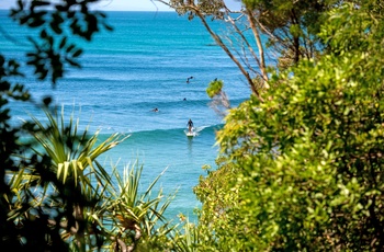 Paddlingboarding og surfing fra strand i Noosa Heads i Queensland - Australien