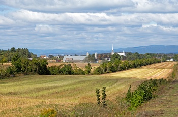 Marker og Kamouraska ud til Saint Lawrence-floden i Quebec, Canada