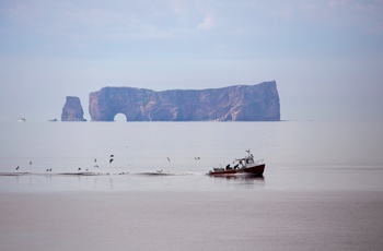 Fiskebåd og Percé Rock i Quebec, Canada
