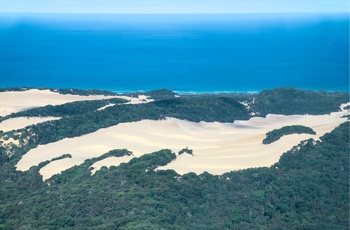 Vandreklitterne på Fraser Island i Australien 