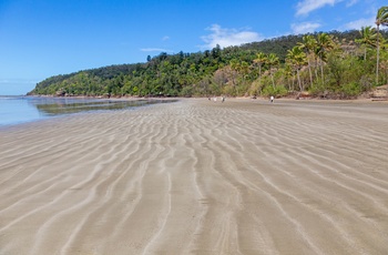 Strand i Cape Hillsborough National Park - Queensland