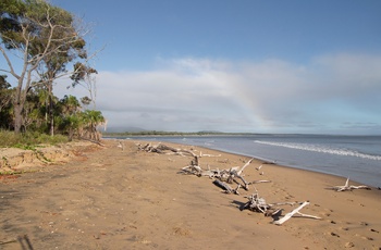 Strand der er en del af Eurimbula National Park i Queensland