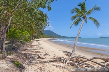 Kewarra Beach - palmestrand nord for Cairns - Queensland