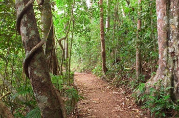 Vandresti rundt om Lake Eacham i Crater Lakes National Park - Queensland