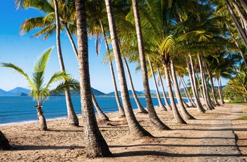 Palm Cove - palmestrand nord for Cairns - Queensland