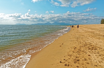 Yorkers Knob - palmestrand nord for Cairns - Queensland