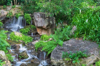 Lille vandfald i botanisk have i Brisbane, Queensland
