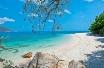 Strand på Fitzroy Island - Queensland i Australien