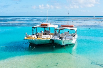 Både ved Heron Island - Great Barrier Reef - Queensland i Australien