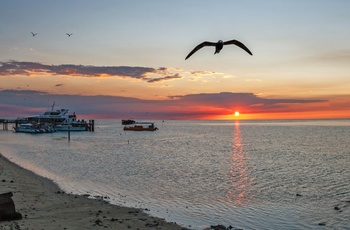 Solnedgang på Heron Island - Great Barrier Reef - Queensland i Australien