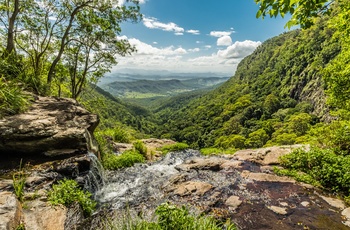 Lamington National Park, Queensland i Australien