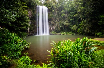 Millaa Millaa Vandfald i Atherton Tablelands i Queensland