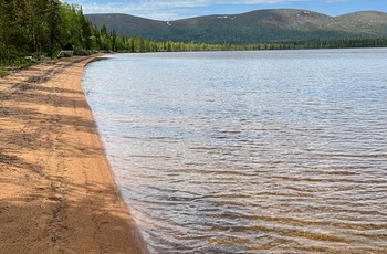 Rød sandstrand ved Pallasjärvi-søen i Lapland - det nordlige Finland