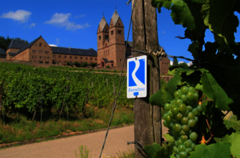 Rüdesheimer Schloss, vinmarker, Rhinen